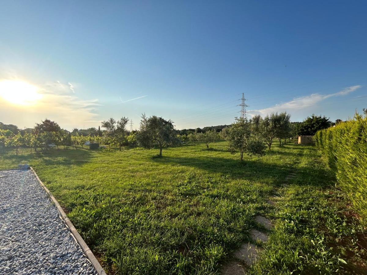 Dora House With Wifi And Outdoor Swimming Pool Villa Pula Dış mekan fotoğraf